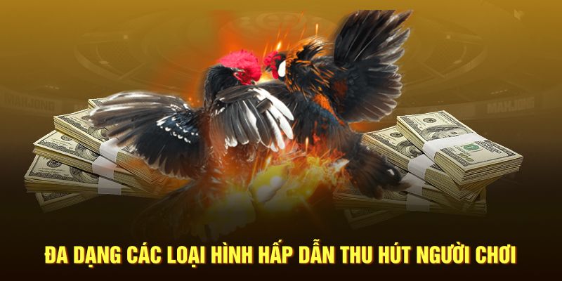 Đa dạng các loại hình hấp dẫn thu hút người chơi