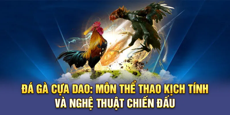 Đá gà cựa dao