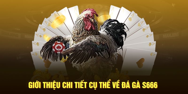 Giới thiệu chi tiết cụ thể về đá gà S666