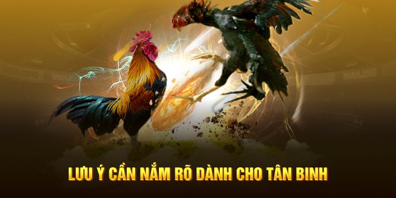 Lưu ý cần nắm rõ dành cho tân binh 