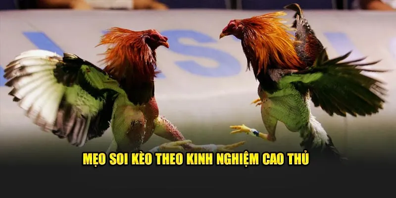 Mẹo soi kèo theo kinh nghiệm cao thủ