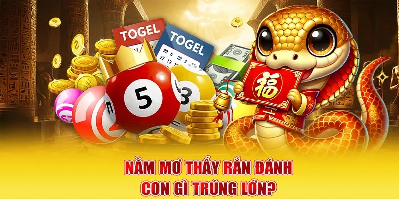 Nằm mơ thấy rắn đánh con gì