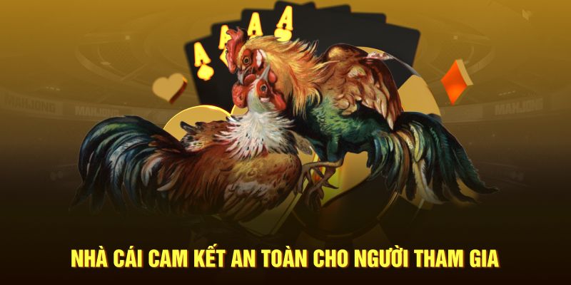 Nhà cái cam kết an toàn cho người tham gia